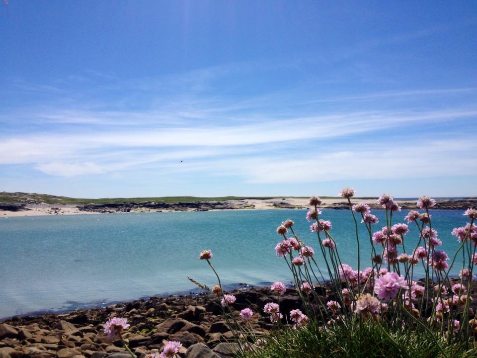 Dolphin Beach House Hotel Clifden Esterno foto