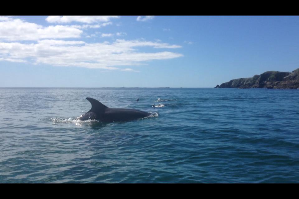 Dolphin Beach House Hotel Clifden Esterno foto