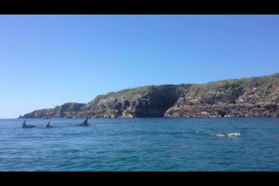 Dolphin Beach House Hotel Clifden Esterno foto