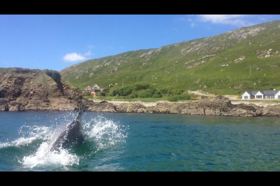 Dolphin Beach House Hotel Clifden Esterno foto