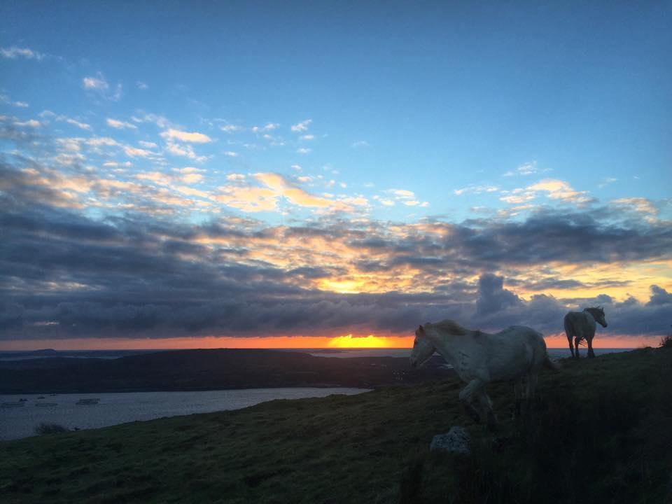 Dolphin Beach House Hotel Clifden Esterno foto